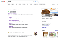 Vivapura Google Search Results