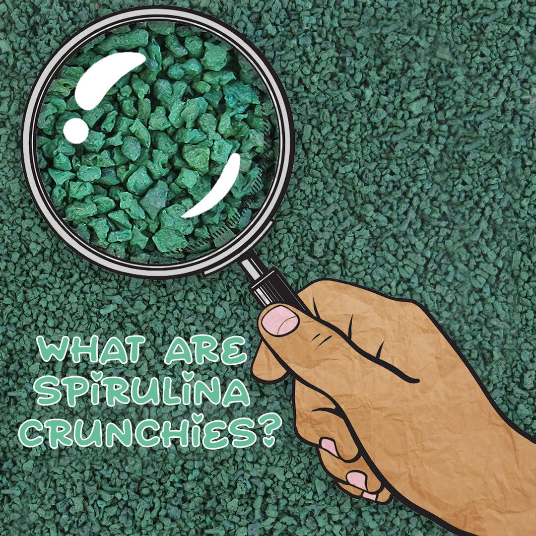 Spirulina Crunchies to the Rescue!