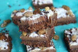 Coconut Mulberry Brownies