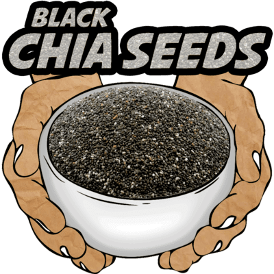 Black Chia Seeds, Raw, Organic, 16 oz