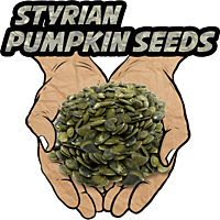 Styrian Pumpkin Seeds, Raw, Organic, 8 oz