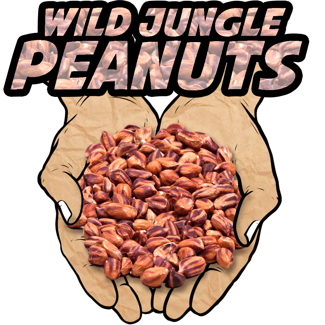Wild Jungle Peanuts, Raw, Organic, 8 oz